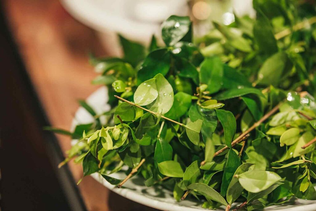 צילום אומנותי לאירוע ברית מילה